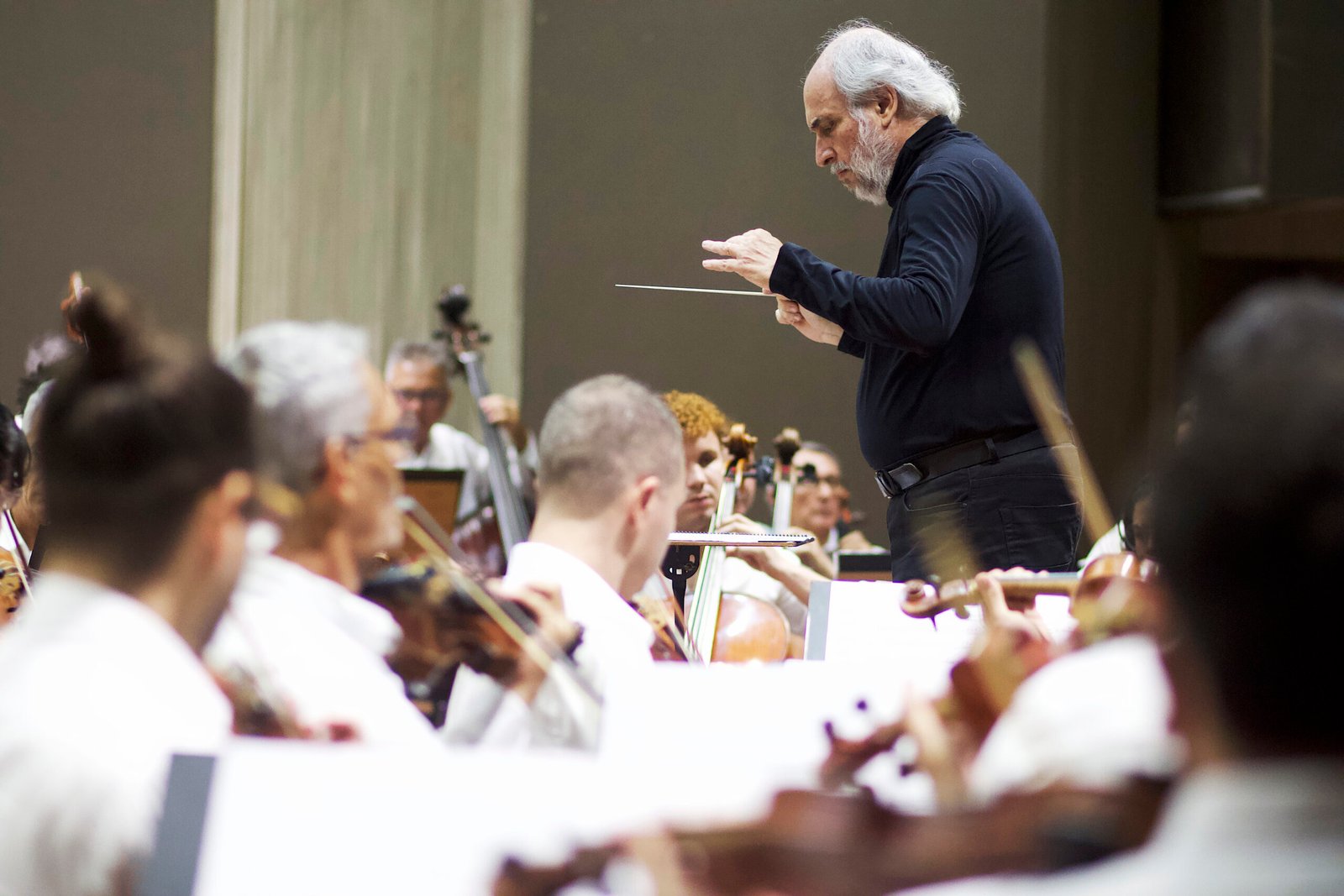 Rascunho Automático